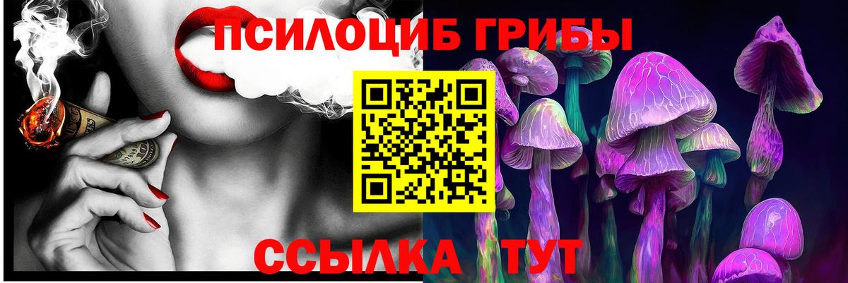 Псилоцибиновые грибы мицелий  хочу   Вход с VPN  Бердск  Псилоцибиновые грибы мухоморы 
